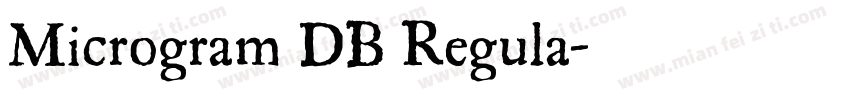 Microgram DB Regula字体转换